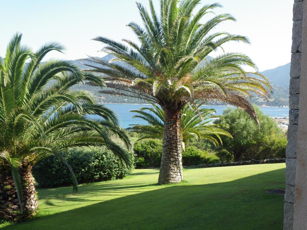 דירות פרופריאנו Marina Di Fiori מראה חיצוני תמונה