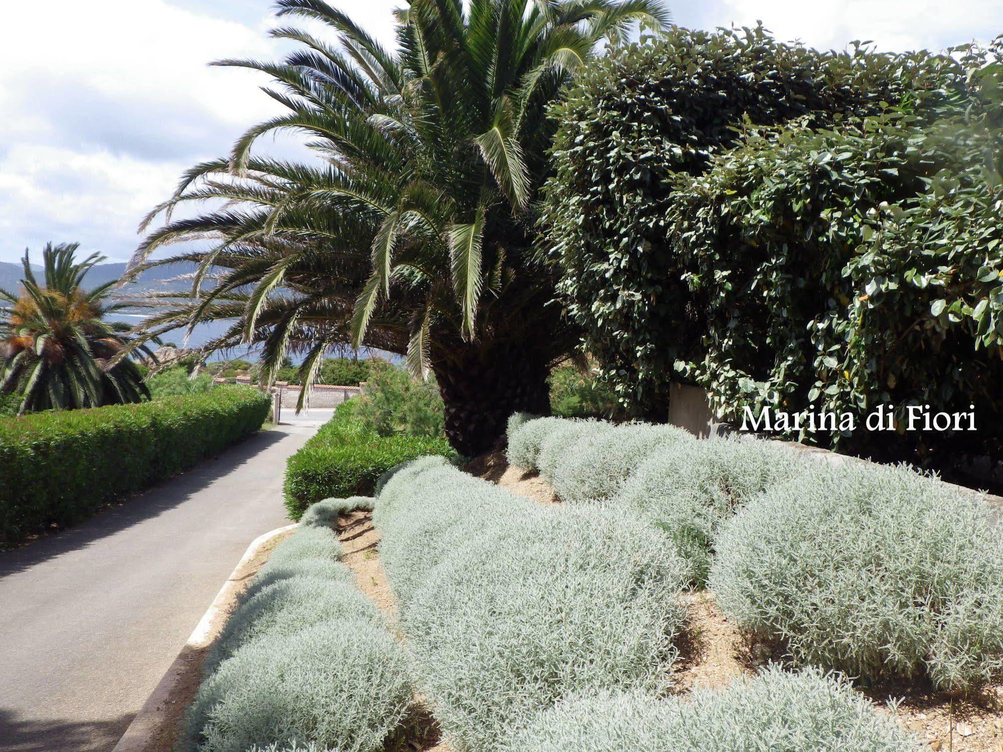 דירות פרופריאנו Marina Di Fiori מראה חיצוני תמונה